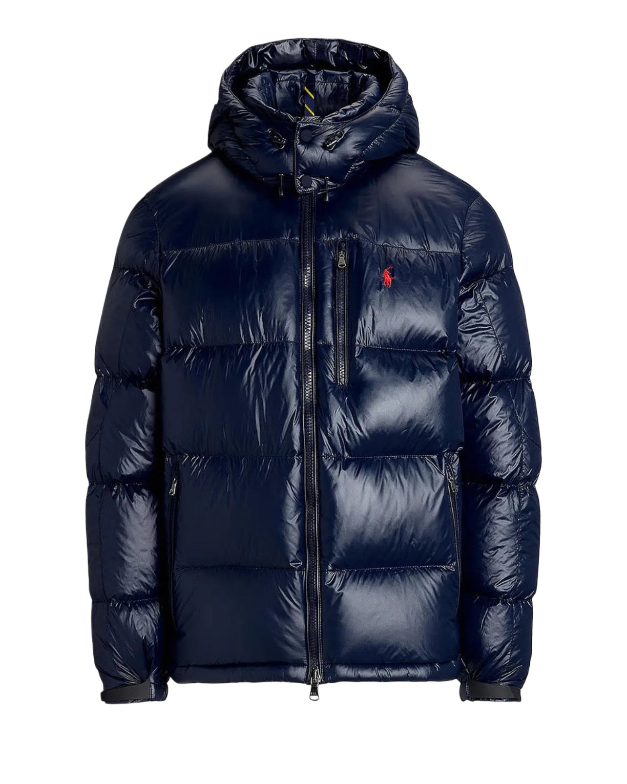 "RL" Shiny Puffer